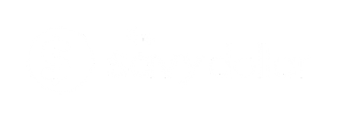 the savvy dollar